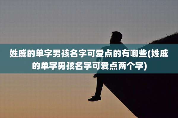 姓戚的单字男孩名字可爱点的有哪些(姓戚的单字男孩名字可爱点两个字)