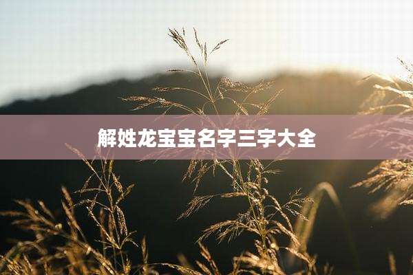 解姓龙宝宝名字三字大全