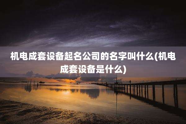 机电成套设备起名公司的名字叫什么(机电成套设备是什么)