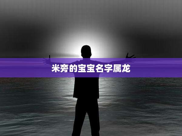 米旁的宝宝名字属龙