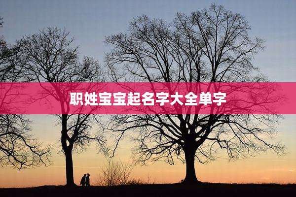 职姓宝宝起名字大全单字