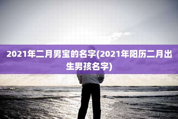 2021年二月男宝的名字(2021年阳历二月出生男孩名字)