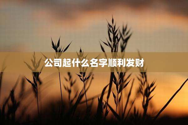 公司起什么名字顺利发财