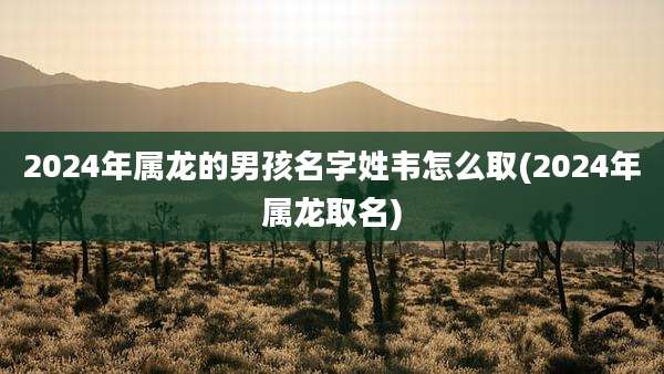 2024年属龙的男孩名字姓韦怎么取(2024年属龙取名)