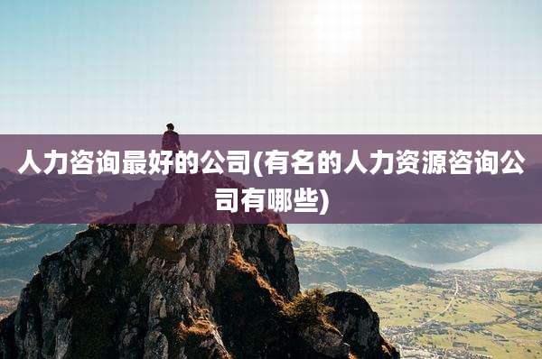 人力咨询最好的公司(有名的人力资源咨询公司有哪些)