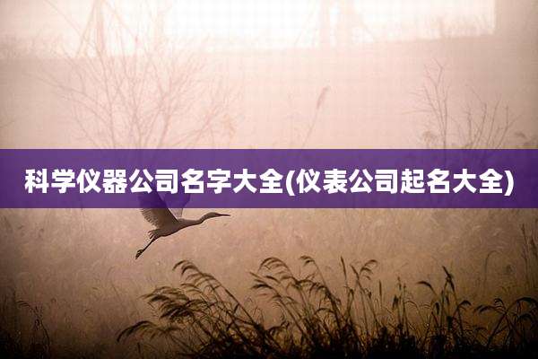 科学仪器公司名字大全(仪表公司起名大全)