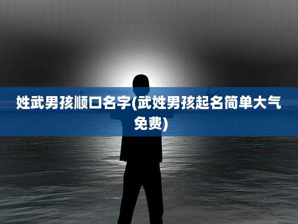 姓武男孩顺口名字(武姓男孩起名简单大气 免费)