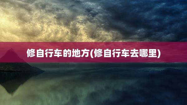 修自行车的地方(修自行车去哪里)