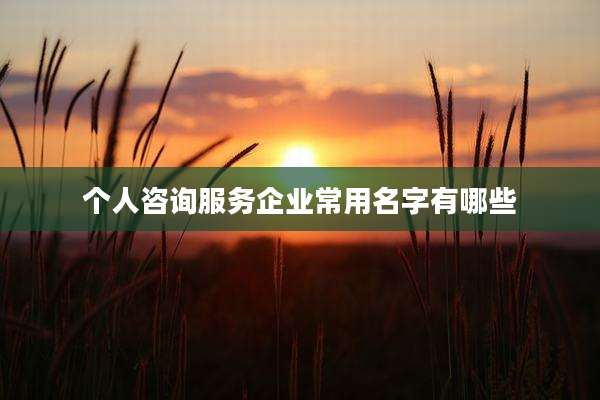 个人咨询服务企业常用名字有哪些