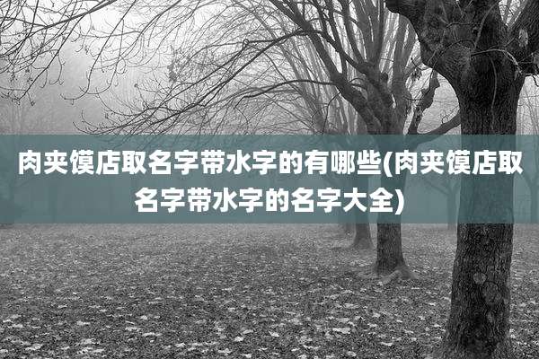 肉夹馍店取名字带水字的有哪些(肉夹馍店取名字带水字的名字大全)
