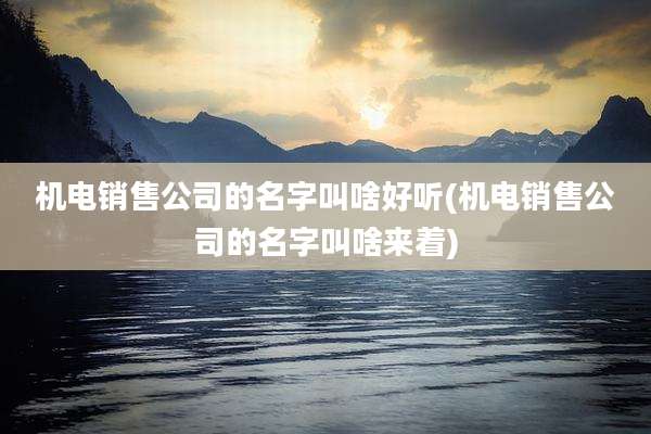 机电销售公司的名字叫啥好听(机电销售公司的名字叫啥来着)