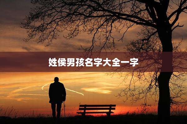 姓侯男孩名字大全一字