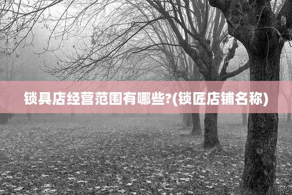 锁具店经营范围有哪些?(锁匠店铺名称)