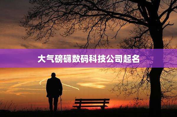 大气磅礴数码科技公司起名