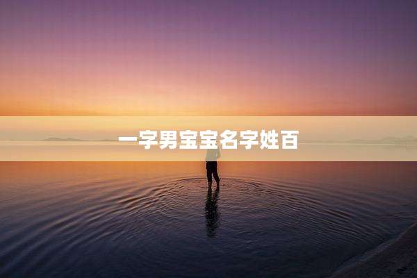 一字男宝宝名字姓百