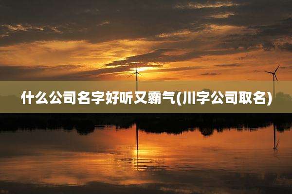 什么公司名字好听又霸气(川字公司取名)