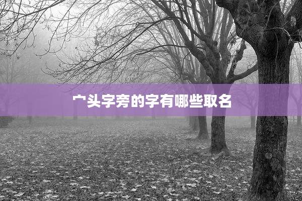 宀头字旁的字有哪些取名