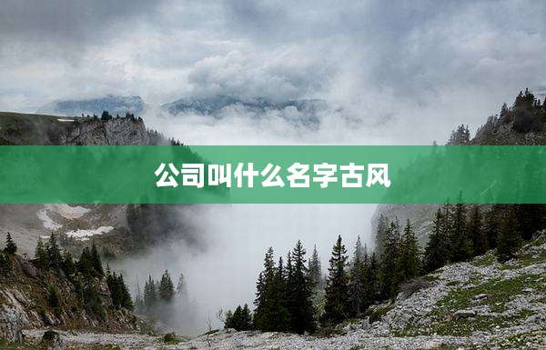 公司叫什么名字古风