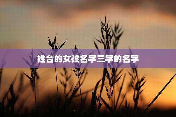 姓台的女孩名字三字的名字