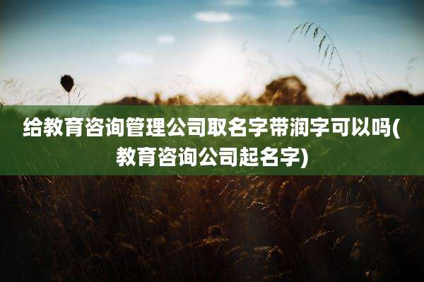 给教育咨询管理公司取名字带润字可以吗(教育咨询公司起名字)