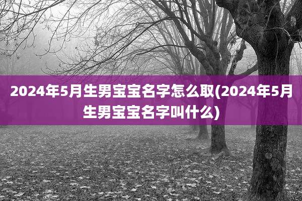 2024年5月生男宝宝名字怎么取(2024年5月生男宝宝名字叫什么)