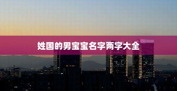 姓国的男宝宝名字两字大全