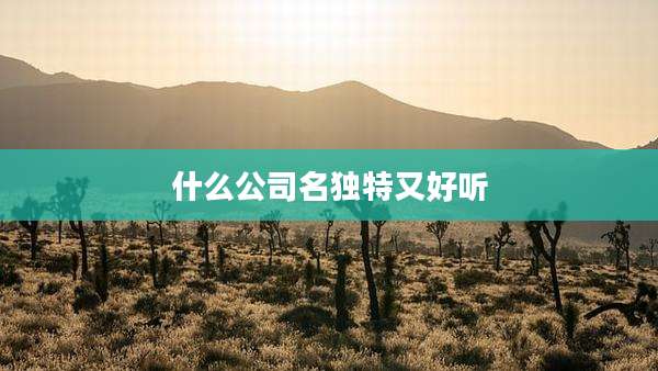什么公司名独特又好听