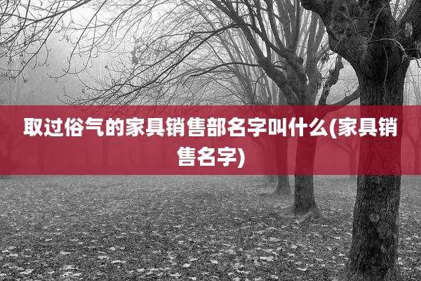 取过俗气的家具销售部名字叫什么(家具销售名字)