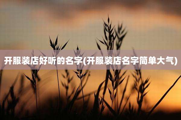 开服装店好听的名字(开服装店名字简单大气)