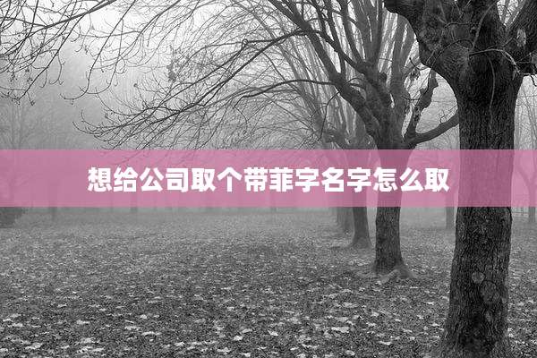 想给公司取个带菲字名字怎么取
