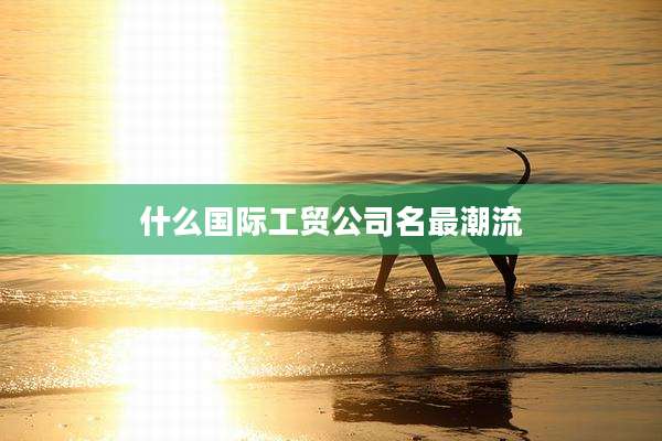 什么国际工贸公司名最潮流