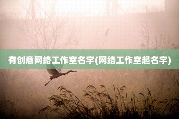 有创意网络工作室名字(网络工作室起名字)