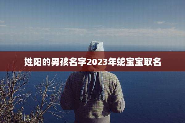 姓阳的男孩名字2023年蛇宝宝取名