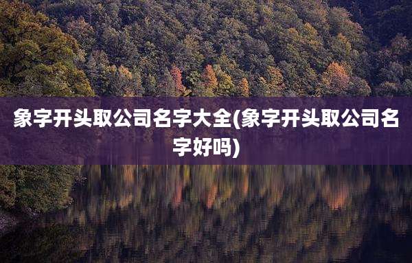 象字开头取公司名字大全(象字开头取公司名字好吗)
