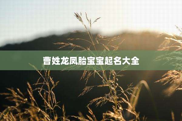 曹姓龙凤胎宝宝起名大全
