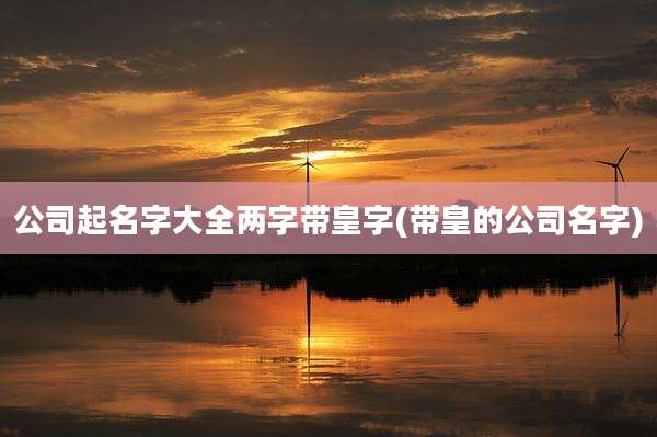 公司起名字大全两字带皇字(带皇的公司名字)