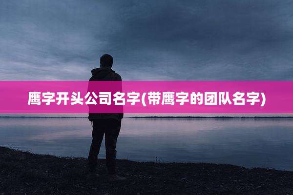 鹰字开头公司名字(带鹰字的团队名字)