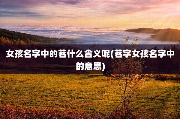 女孩名字中的茗什么含义呢(茗字女孩名字中的意思)