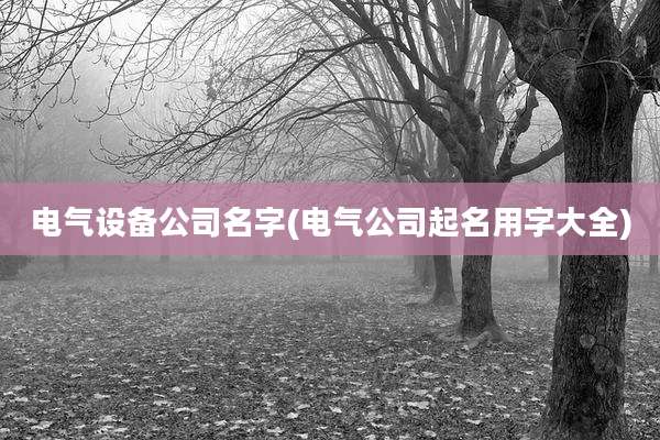 电气设备公司名字(电气公司起名用字大全)