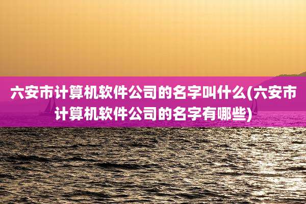 六安市计算机软件公司的名字叫什么(六安市计算机软件公司的名字有哪些)