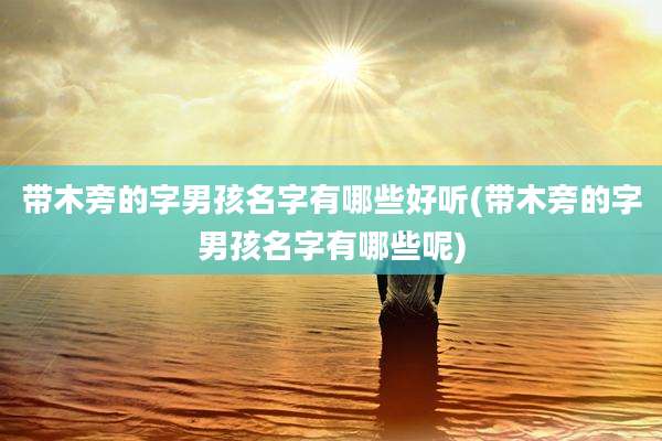 带木旁的字男孩名字有哪些好听(带木旁的字男孩名字有哪些呢)
