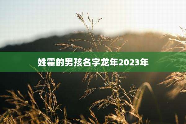 姓霍的男孩名字龙年2023年
