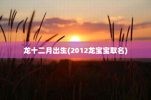 龙十二月出生(2012龙宝宝取名)