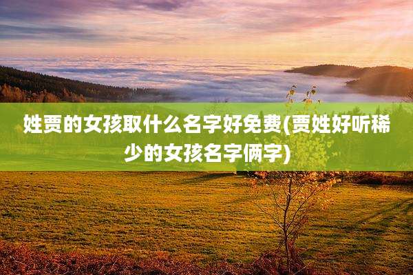 姓贾的女孩取什么名字好免费(贾姓好听稀少的女孩名字俩字)