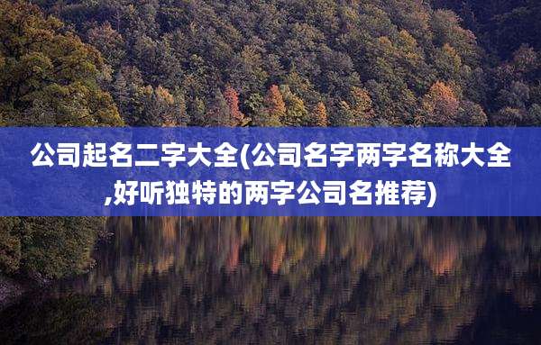 公司起名二字大全(公司名字两字名称大全,好听独特的两字公司名推荐)