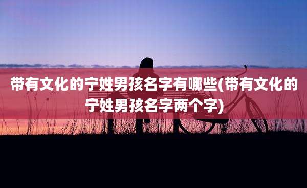 带有文化的宁姓男孩名字有哪些(带有文化的宁姓男孩名字两个字)