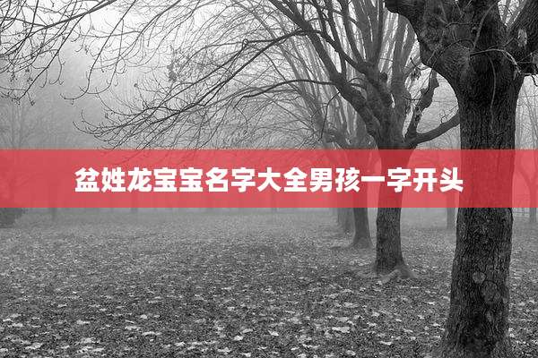 盆姓龙宝宝名字大全男孩一字开头