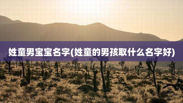 姓童男宝宝名字(姓童的男孩取什么名字好)