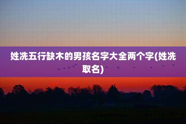 姓冼五行缺木的男孩名字大全两个字(姓冼取名)