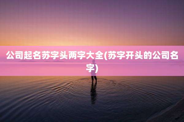 公司起名苏字头两字大全(苏字开头的公司名字)